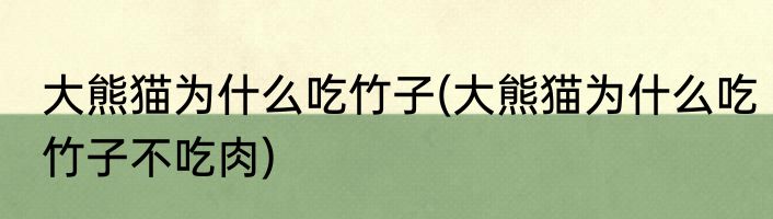 大熊猫为什么吃竹子(大熊猫为什么吃竹子不吃肉)
