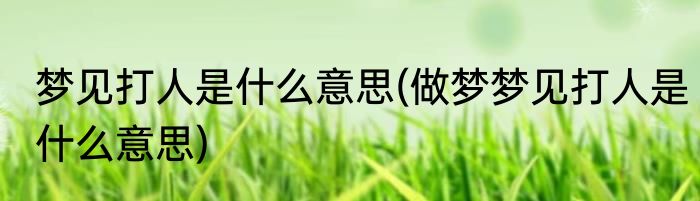 梦见打人是什么意思(做梦梦见打人是什么意思)