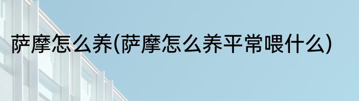 萨摩怎么养(萨摩怎么养平常喂什么)
