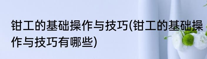 钳工的基础操作与技巧(钳工的基础操作与技巧有哪些)