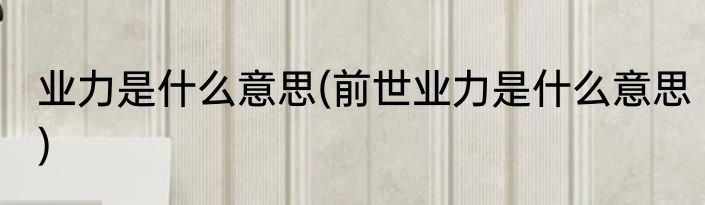 业力是什么意思(前世业力是什么意思)