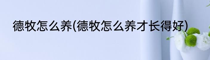 德牧怎么养(德牧怎么养才长得好)