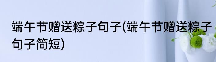 端午节赠送粽子句子(端午节赠送粽子句子简短)
