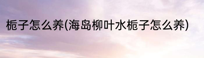 栀子怎么养(海岛柳叶水栀子怎么养)