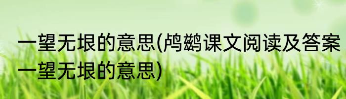 一望无垠的意思(鸬鹚课文阅读及答案一望无垠的意思)