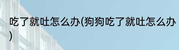 吃了就吐怎么办(狗狗吃了就吐怎么办)