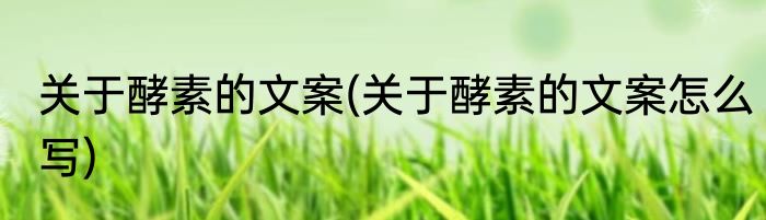 关于酵素的文案(关于酵素的文案怎么写)