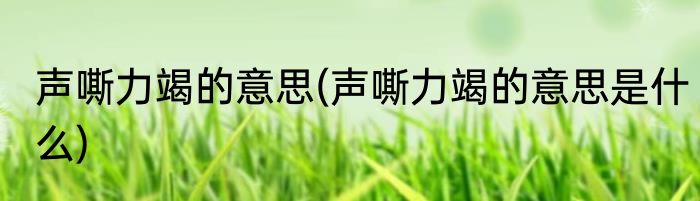 声嘶力竭的意思(声嘶力竭的意思是什么)