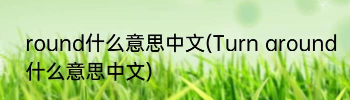 round什么意思中文(Turn around什么意思中文)