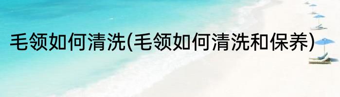 毛领如何清洗(毛领如何清洗和保养)