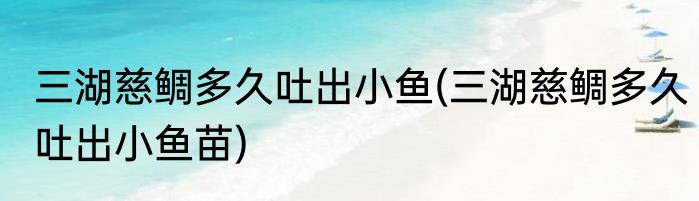 三湖慈鲷多久吐出小鱼(三湖慈鲷多久吐出小鱼苗)