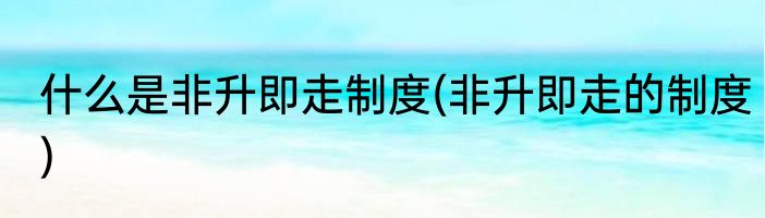 什么是非升即走制度(非升即走的制度)