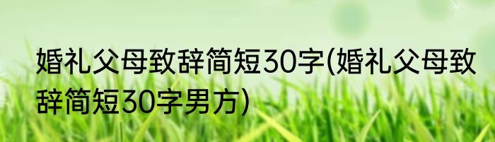 婚礼父母致辞简短30字(婚礼父母致辞简短30字男方)