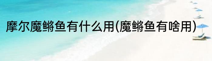 摩尔魔鳉鱼有什么用(魔鳉鱼有啥用)