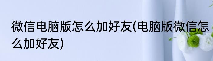 微信电脑版怎么加好友(电脑版微信怎么加好友)