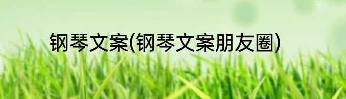 钢琴文案(钢琴文案朋友圈)