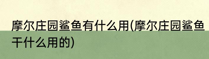 摩尔庄园鲨鱼有什么用(摩尔庄园鲨鱼干什么用的)