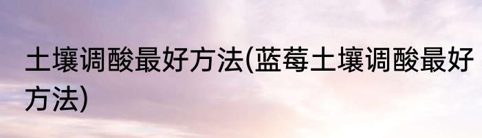 土壤调酸最好方法(蓝莓土壤调酸最好方法)