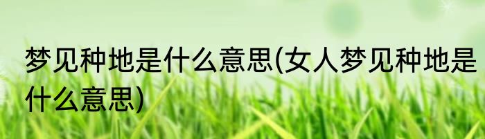 梦见种地是什么意思(女人梦见种地是什么意思)