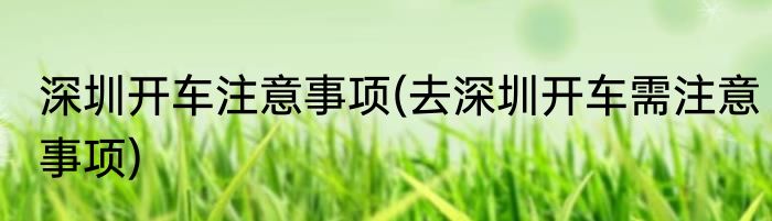 深圳开车注意事项(去深圳开车需注意事项)
