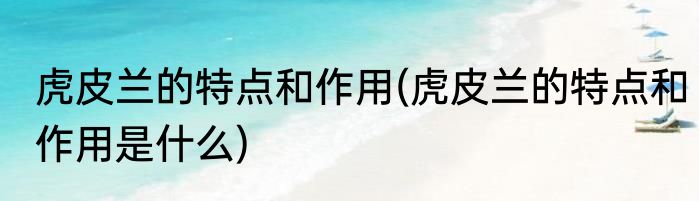 虎皮兰的特点和作用(虎皮兰的特点和作用是什么)