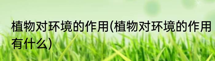 植物对环境的作用(植物对环境的作用有什么)