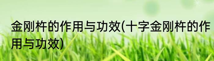 金刚杵的作用与功效(十字金刚杵的作用与功效)