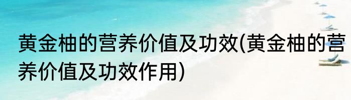 黄金柚的营养价值及功效(黄金柚的营养价值及功效作用)