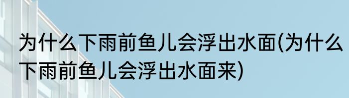 为什么下雨前鱼儿会浮出水面(为什么下雨前鱼儿会浮出水面来)