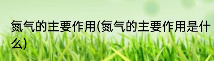氮气的主要作用(氮气的主要作用是什么)