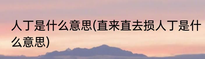 人丁是什么意思(直来直去损人丁是什么意思)
