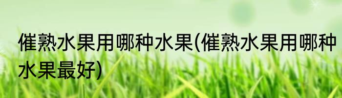 催熟水果用哪种水果(催熟水果用哪种水果最好)