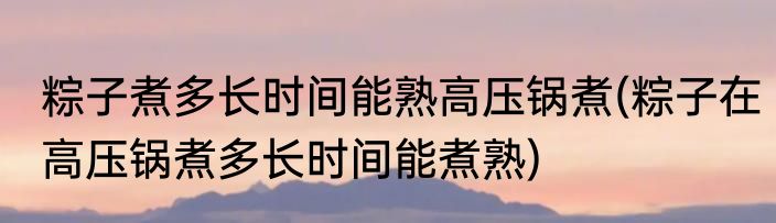 粽子煮多长时间能熟高压锅煮(粽子在高压锅煮多长时间能煮熟)