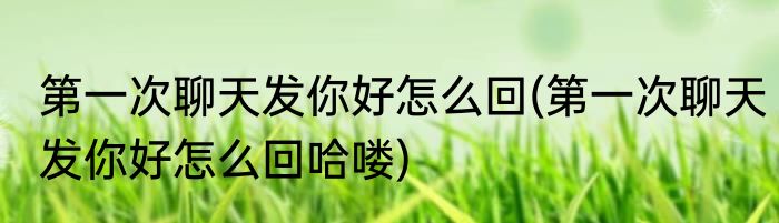 第一次聊天发你好怎么回(第一次聊天发你好怎么回哈喽)