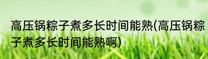 高压锅粽子煮多长时间能熟(高压锅粽子煮多长时间能熟啊)