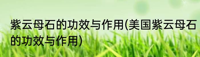 紫云母石的功效与作用(美国紫云母石的功效与作用)