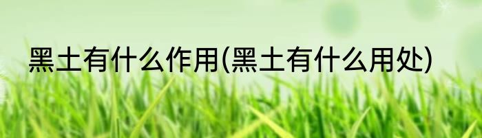 黑土有什么作用(黑土有什么用处)