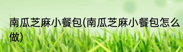 南瓜芝麻小餐包(南瓜芝麻小餐包怎么做)