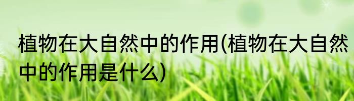 植物在大自然中的作用(植物在大自然中的作用是什么)