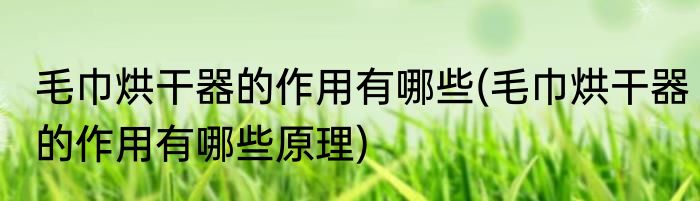 毛巾烘干器的作用有哪些(毛巾烘干器的作用有哪些原理)