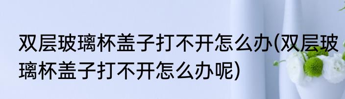 双层玻璃杯盖子打不开怎么办(双层玻璃杯盖子打不开怎么办呢)