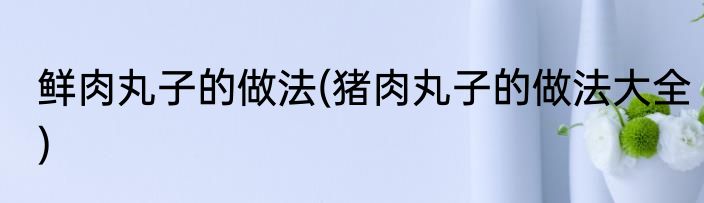 鲜肉丸子的做法(猪肉丸子的做法大全)