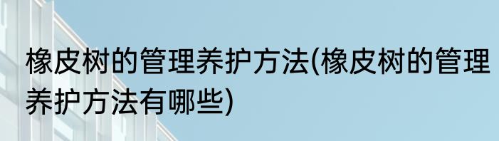 橡皮树的管理养护方法(橡皮树的管理养护方法有哪些)