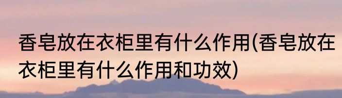 香皂放在衣柜里有什么作用(香皂放在衣柜里有什么作用和功效)