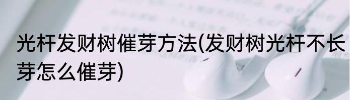 光杆发财树催芽方法(发财树光杆不长芽怎么催芽)