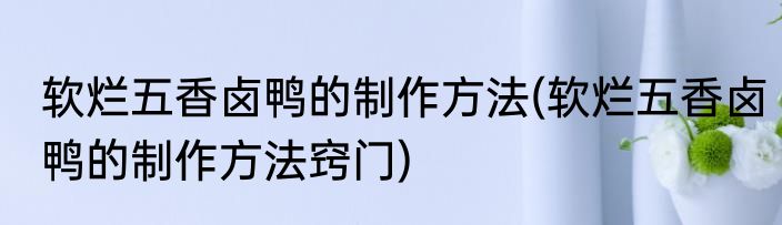 软烂五香卤鸭的制作方法(软烂五香卤鸭的制作方法窍门)