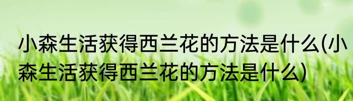 小森生活获得西兰花的方法是什么(小森生活获得西兰花的方法是什么)