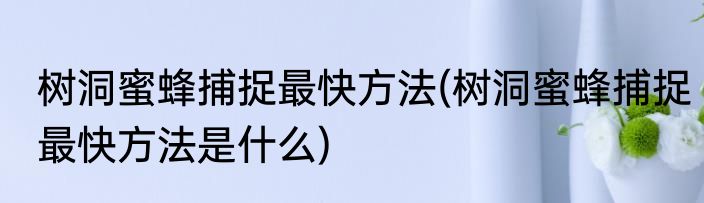 树洞蜜蜂捕捉最快方法(树洞蜜蜂捕捉最快方法是什么)