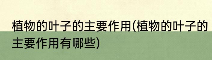 植物的叶子的主要作用(植物的叶子的主要作用有哪些)