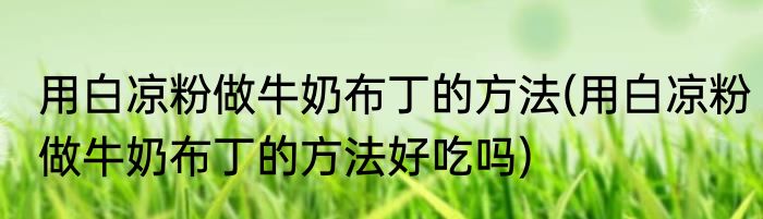 用白凉粉做牛奶布丁的方法(用白凉粉做牛奶布丁的方法好吃吗)